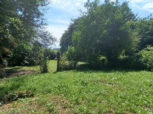  Boconnoc